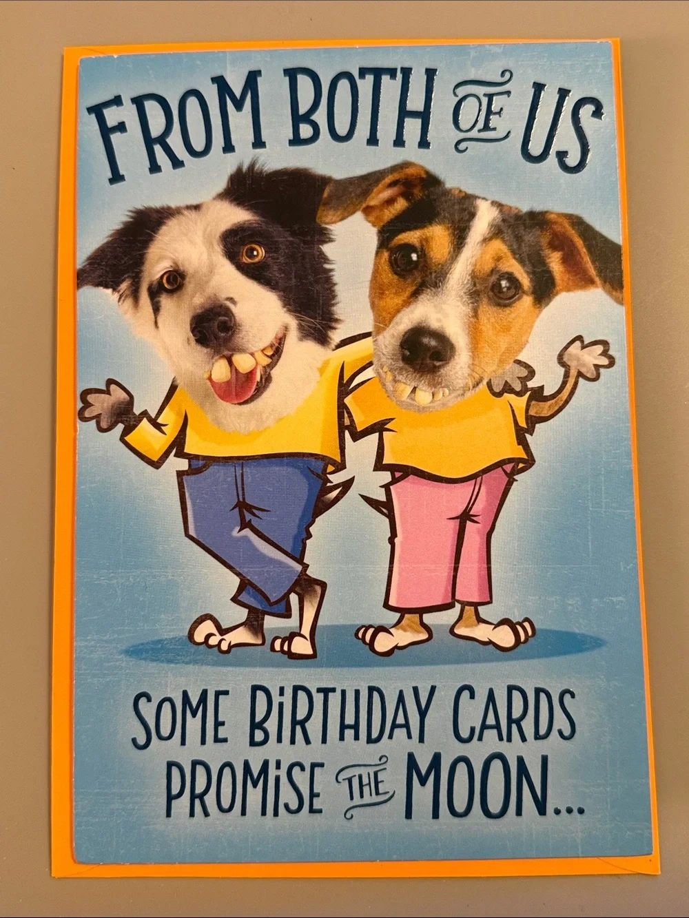🌻 Bundle of 2 Funny Hallmark / Shoebox Birthday Cards